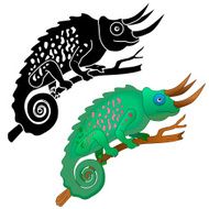Chameleon N14