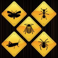 Yellow Signs - Insects