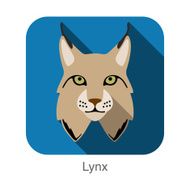 Lynx Cat breed face cartoon flat icon design