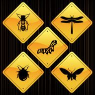 Yellow Signs - Insects N2