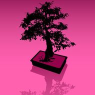 Pink Bonsai