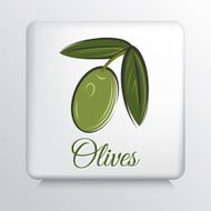 Square Icon With Olive Branch N3