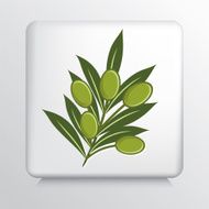 Square Icon With Olive Branch N4