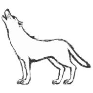 Wolf N19