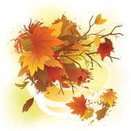 autumn fall season N4