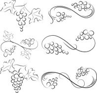 grape N3
