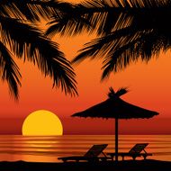 Sunset view in beach with palm tree