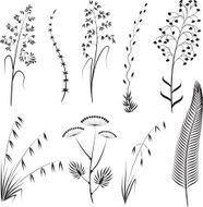 grass brushes