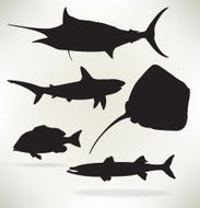 Sealife- Saltwater fish Shark red snapper sailfish barracuda
