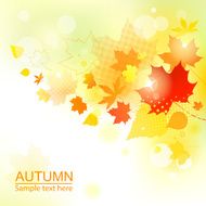 Autumn Background N103