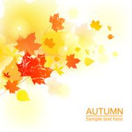 Autumn Background N104