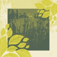 floral frame N242