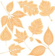 yellow leaves N3
