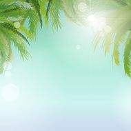 Summer palm background