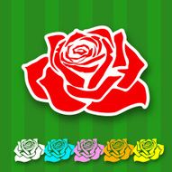 Rosebud N3
