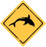 shark warning sign N2