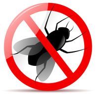 fly sign