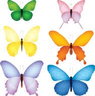 Butterflies N74