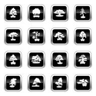Supergloss Black Icons - Bonsais