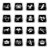 Supergloss Black Icons - Veterinary