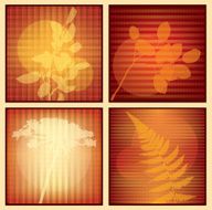 Amber Organics