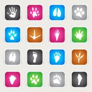 Multicolor Icons - Animal Tracks
