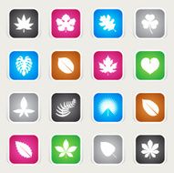 Multicolor Icons - Leaves