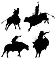 Rodeo in action N2