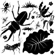 tropical insects and plants N2