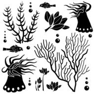 sea creatures design elements N6