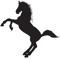 Horse N94