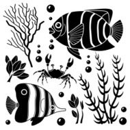 sea life design elements N8
