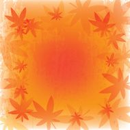 floral frame N244