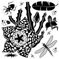 tropical design elements N2
