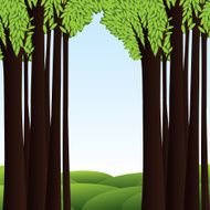 Green Forest N7