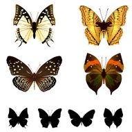 butterfly set N14