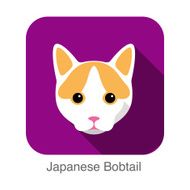 Japanese Bobtail Cat breed face cartoon flat icon design N2