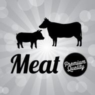 Meat N4