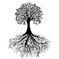 Tree With Roots N19