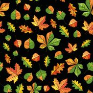 pattern autumn leaves N2