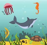 Marine Life N3