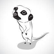 Meerkat N3