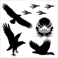 Eagle silhouette vector N2