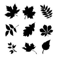 Set of leaves Vector black silhouettes