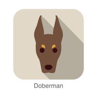 Doberman dog face flat icon series