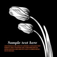 Black silhouette of tulip on black background