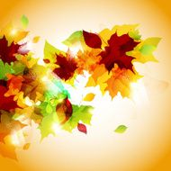 Autumn Background N106