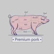 Vector cuts of pork