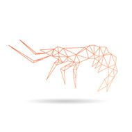Shrimp abstract isolated on a white background