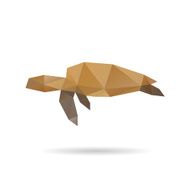 Sea turtle abstract isolated on a white background N2